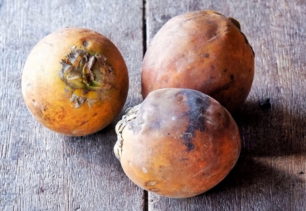 Эксперт Омаров: Жевание бетельного ореха приводит к раку полости рта