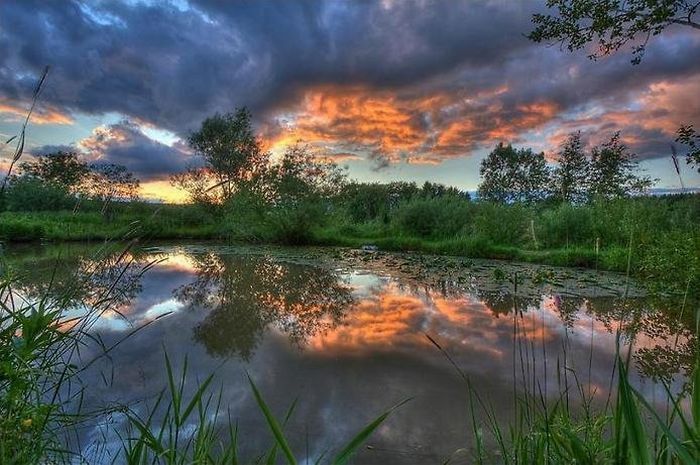 Шикарные отражения в воде (36 фото) Шикарные отражения в воде