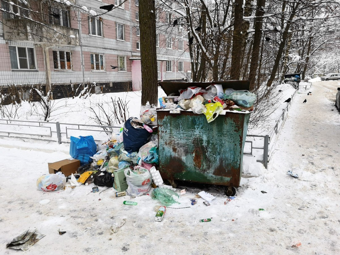 Мусорный коллапс в России Мусорный коллапс в России