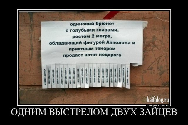 Смешные русские демотиваторы (40 фото)