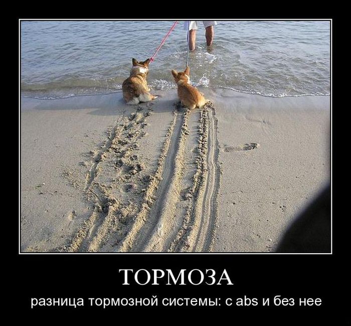 Дожили до зарплаты, деньги ещё остались… Дожили до зарплаты, деньги ещё остались…