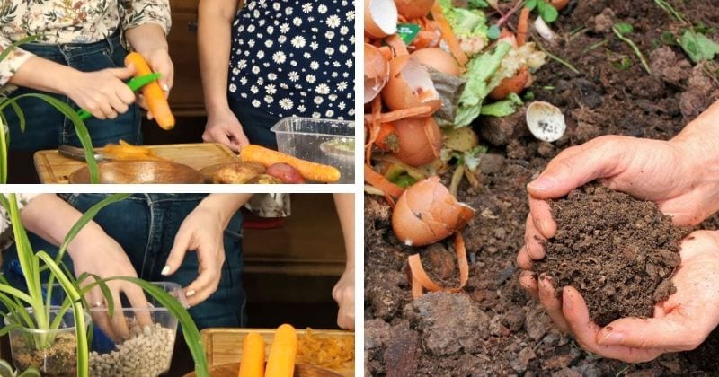 Вот как сделать чудо-компост из кухонных отходов без запаха и мушек