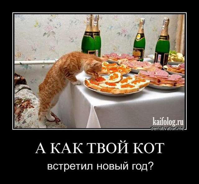 Смешные русские демотиваторы (40 фото)