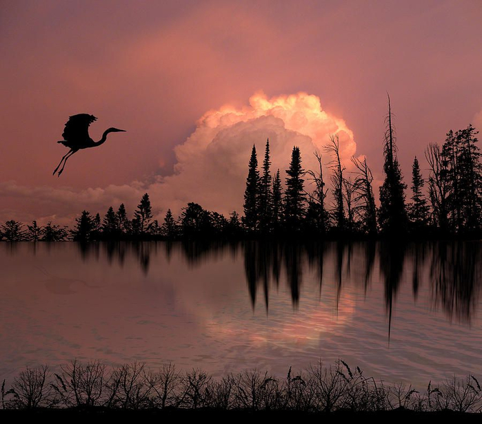 Peter Holme III Tutt'Art@ (25) (700x616, 350Kb)