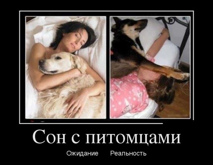 Веселые демотиваторы на утро (11 фото) Веселые демотиваторы на утро (11 фото)