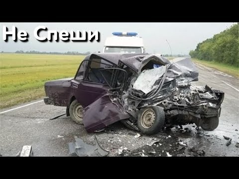 Торопыги и Водятлы 80 уровня - Лютые Засранцы! Торопыги и Водятлы 80 уровня - Лютые Засранцы!