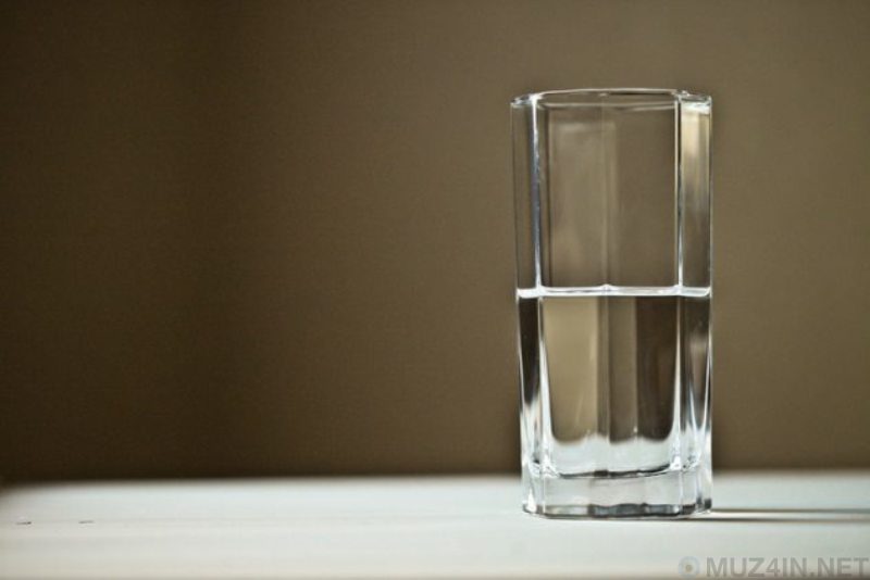 10 особенностей, отличающих взгляды детей на окружающий мир 10 особенностей, отличающих взгляды детей на окружающий мир