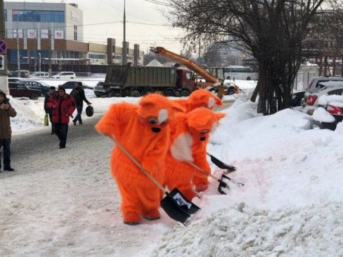 Тем временем в России