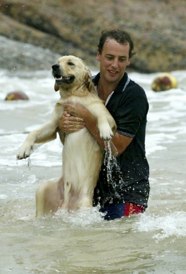 А этот пес чуть не утонул во время тайфуна Дуджуан в Гонконге, но его спас парень добро, доброта, животные, люди, поступок, спасение, человечность