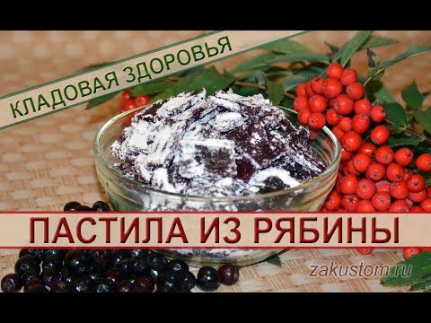 Рецепт домашней пастилы из красной и черноплодной рябины Рецепт домашней пастилы из красной и черноплодной рябины