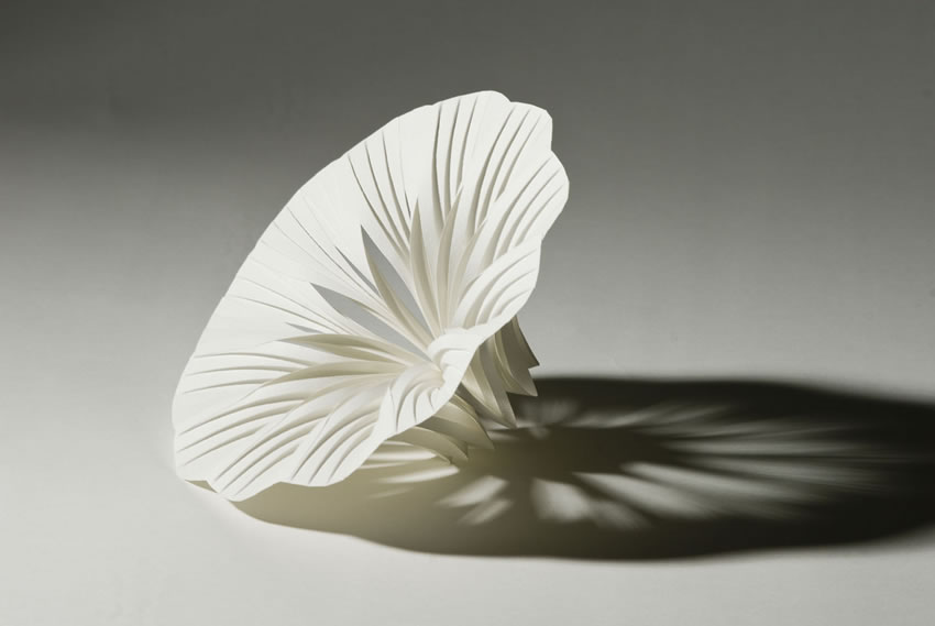 richard-sweeney-paper-sculpture-15