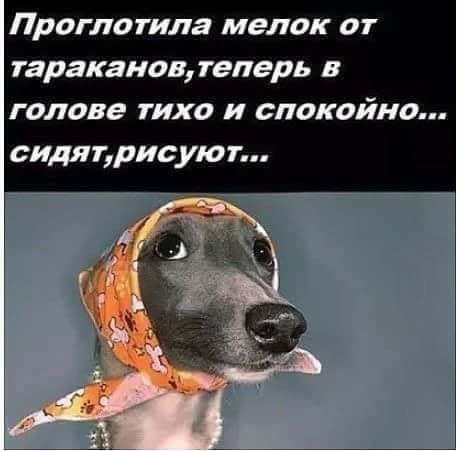 Её глаза излучали тепло, свет и прочие коммунальные услуги. Её глаза излучали тепло, свет и прочие коммунальные услуги.