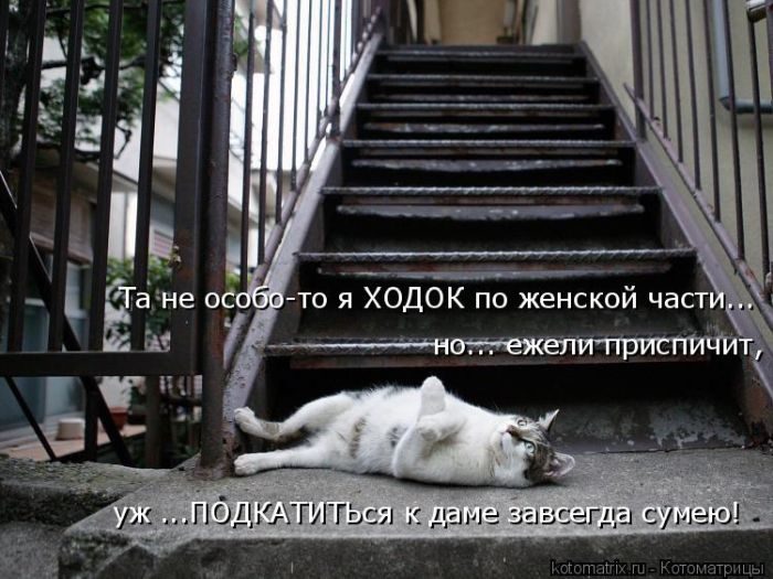 Лучшие котоматрицы, которые зарядят вас позитивом) Лучшие котоматрицы, которые зарядят вас позитивом)