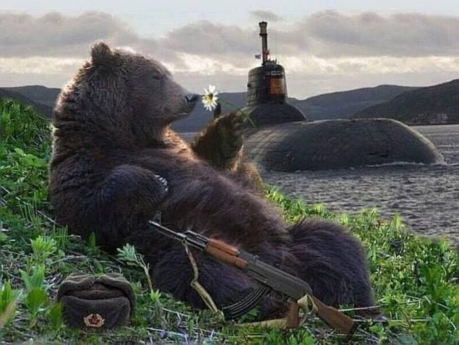 Всё хорошо, ужасная Тереза! (с картинками+песня!) Всё хорошо, ужасная Тереза! (с картинками+песня!)
