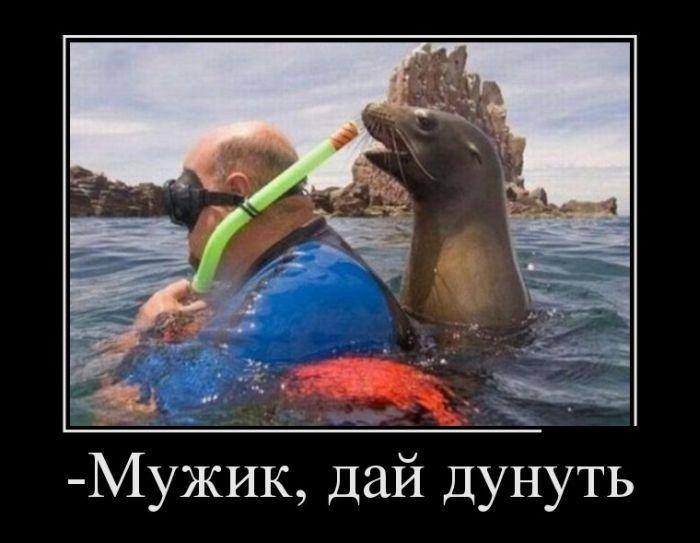 РАЗГРУЗОЧНЫЙ ДЕНЬ. (весёлая подборка картинок)))