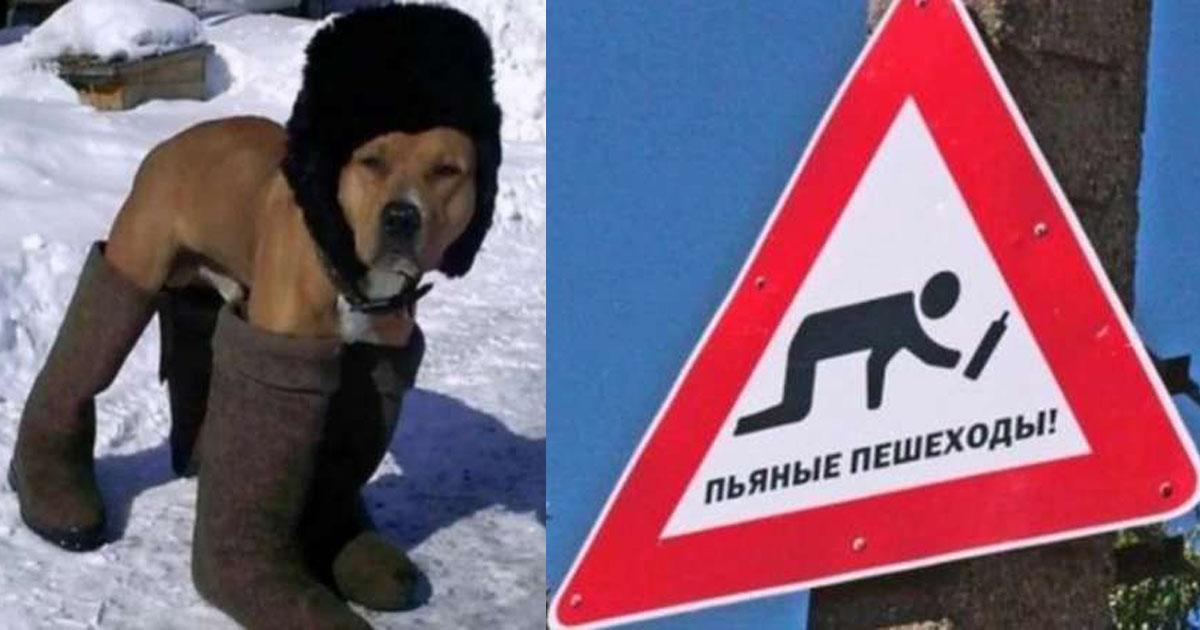 Такое бывает только в России (75 фото) Такое бывает только в России (75 фото)
