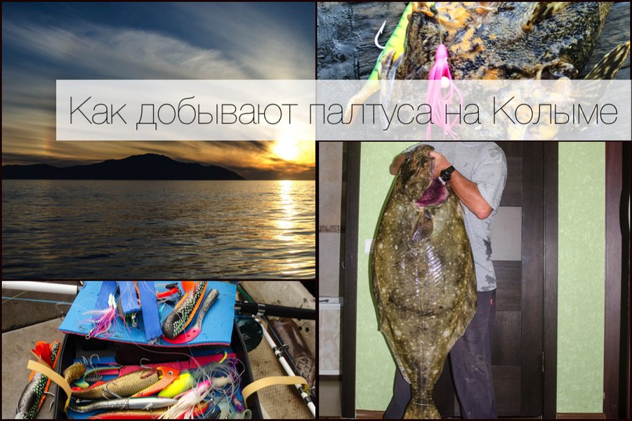 рыбалка