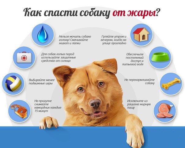 Приборы для массажа простаты Предметы мебели своими руками коллекция пользователя
