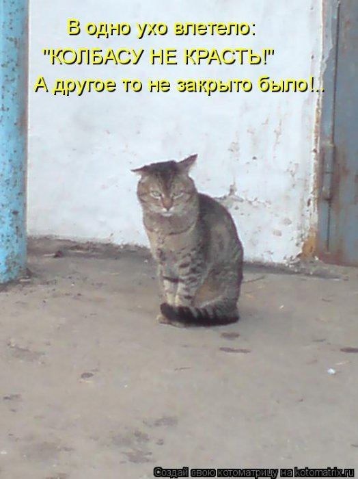Мысли вслух :)
