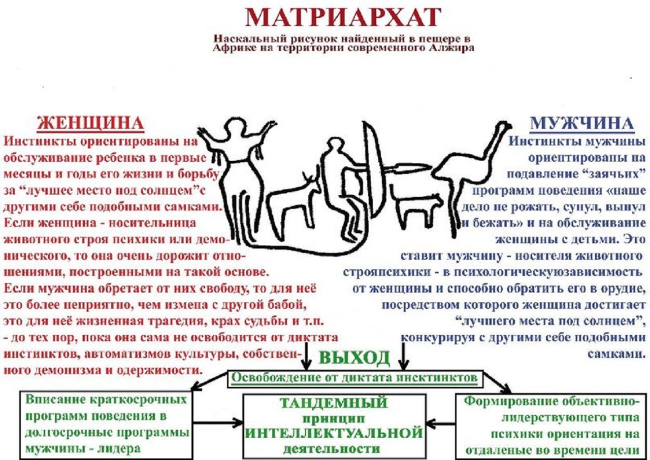 Отношение мужчин к матриархату Отношение мужчин к матриархату