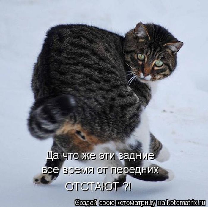Мысли вслух :)