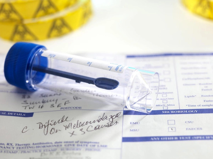 Источник: TEK IMAGE / Science Photo Library / Legion Media