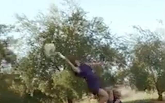 Видео: Очень хотевшая замуж девушка погналась за букетом и совершила немыслимый прыжок