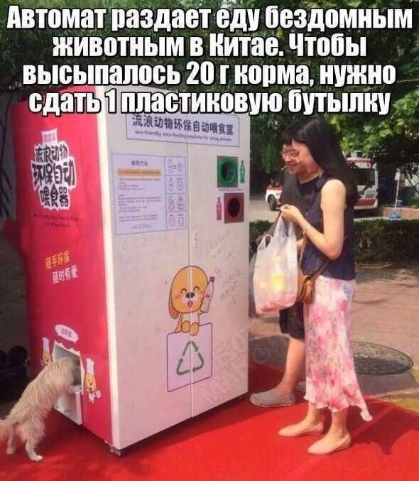 Пятничная подборка интернет-приколов для разгрузки мозга Пятничная подборка интернет-приколов для разгрузки мозга