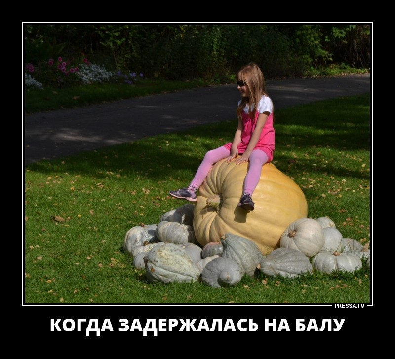 Оптимистичные задорные демотиваторы Оптимистичные задорные демотиваторы