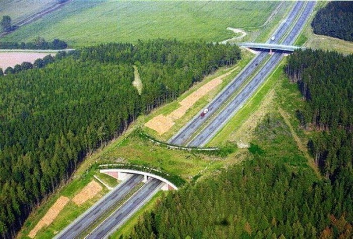 Зеленый мост для диких животных над автомобильным шоссе. Зеленый мост для диких животных над автомобильным шоссе.