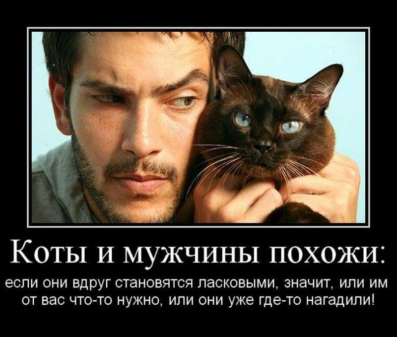 Мужской юмор
