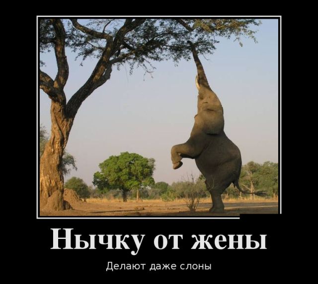 Демотиваторы, мно-о-о-ого, отличной подборочкой для зарядки позитивом на весь день! Демотиваторы, мно-о-о-ого, отличной подборочкой для зарядки позитивом на весь день!