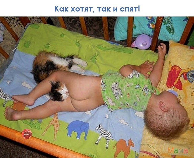 РАЗГРУЗОЧНЫЙ ДЕНЬ. (весёлая подборка картинок)))