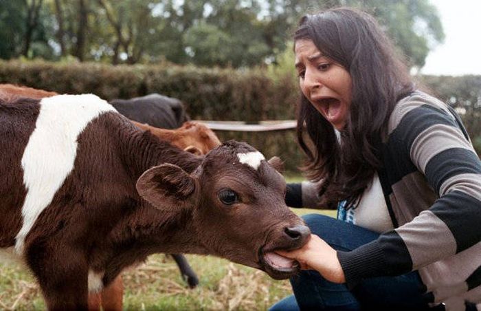 Подборка фейлов всех мастей (33 фото) Подборка фейлов всех мастей (33 фото)