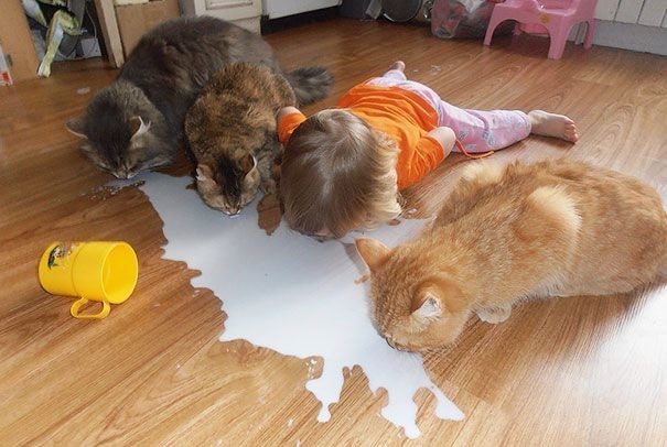 Почему каждому ребёнку нужен кот))