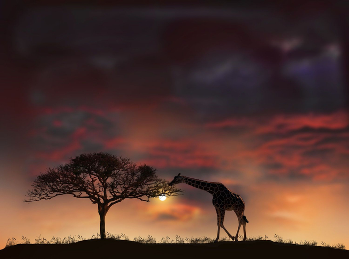 Peter Holme III Tutt'Art@ (39) (700x520, 214Kb)