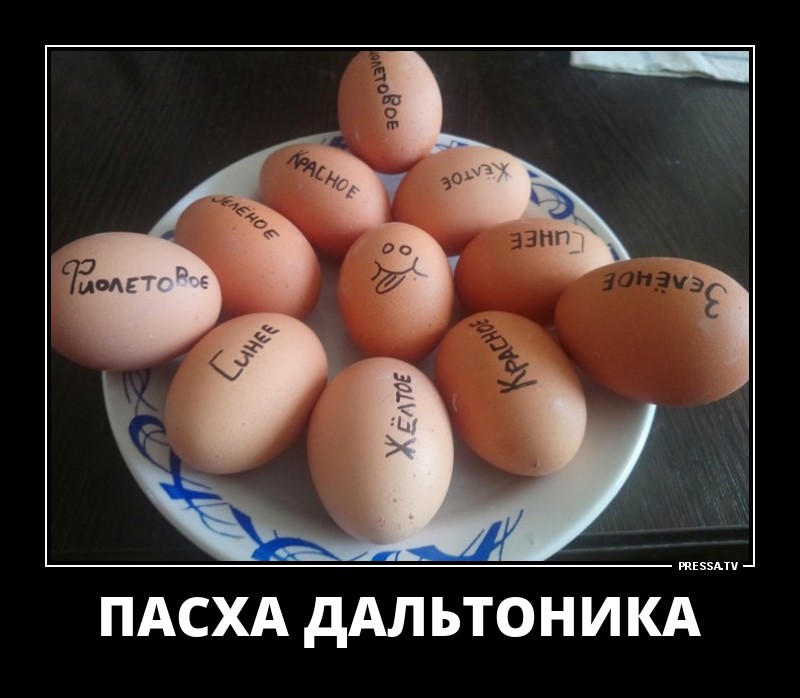 Демотиваторы, мно-о-о-ого, отличной подборочкой для зарядки позитивом на весь день! Демотиваторы, мно-о-о-ого, отличной подборочкой для зарядки позитивом на весь день!