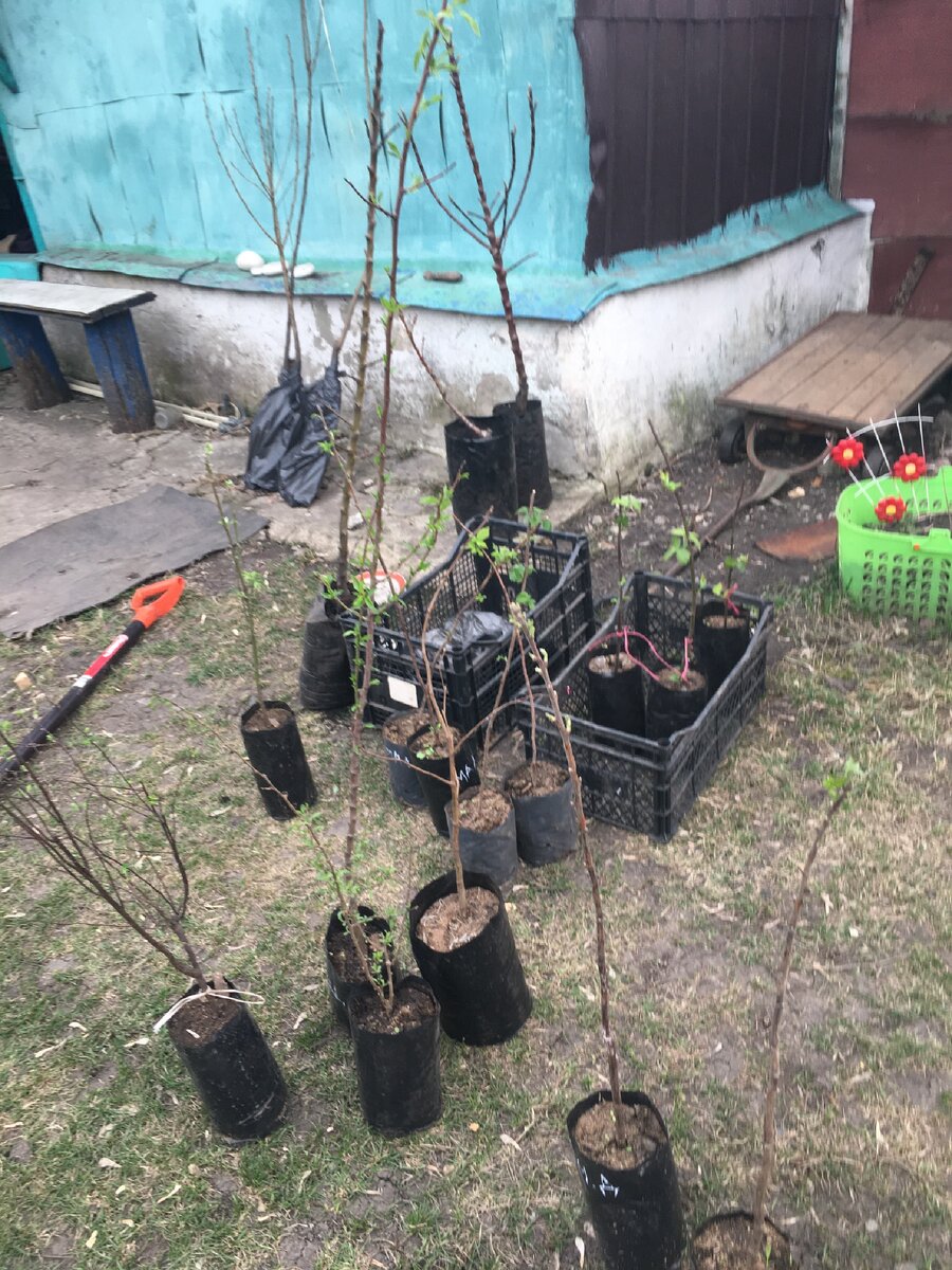 Я больной человек