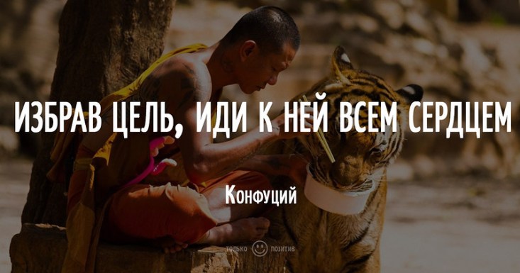 Избрав цель, иди к ней всем сердцем Избрав цель, иди к ней всем сердцем