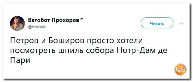 b92a74aded06f7c4b56e55ea2441e3ce.jpg