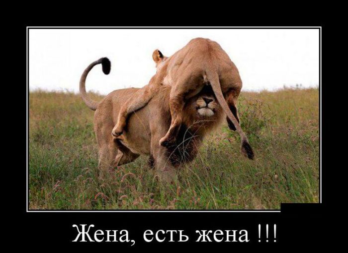 Веселые демотиваторы на утро понедельника (11 фото) Веселые демотиваторы на утро понедельника (11 фото)