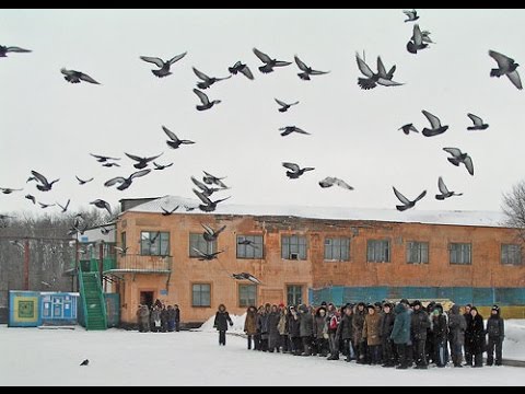 На Украине будет новый праздник — день вертухая На Украине будет новый праздник — день вертухая