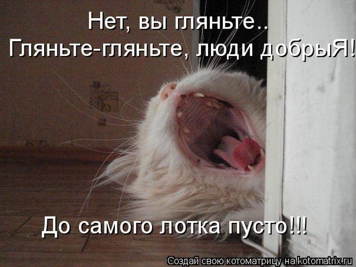 Лучшие котоматрицы, которые зарядят вас позитивом) Лучшие котоматрицы, которые зарядят вас позитивом)
