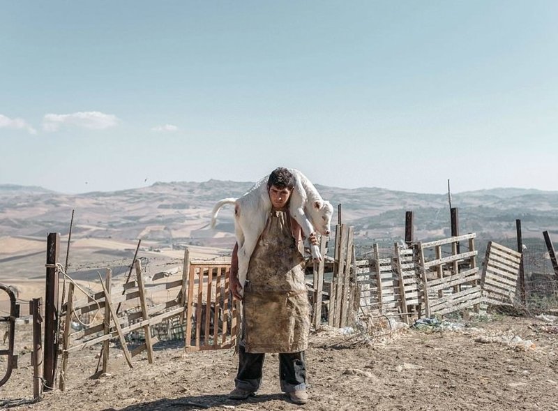 Победителем в категории "Пейзаж" стала Розелена Рамистелла Sony World Photography Awards, конкурс, победитель, портрет, природа, фотография, фотомир, человек