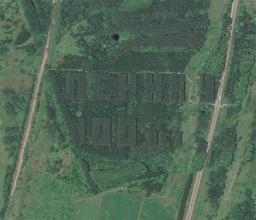 Советские надписи из деревьев, которые видно из космоса (ФОТО)