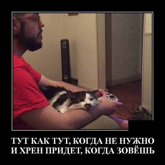 Демотиваторы Демотиваторы