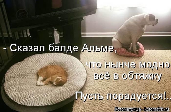 Лучшие котоматрицы, которые зарядят вас позитивом) Лучшие котоматрицы, которые зарядят вас позитивом)