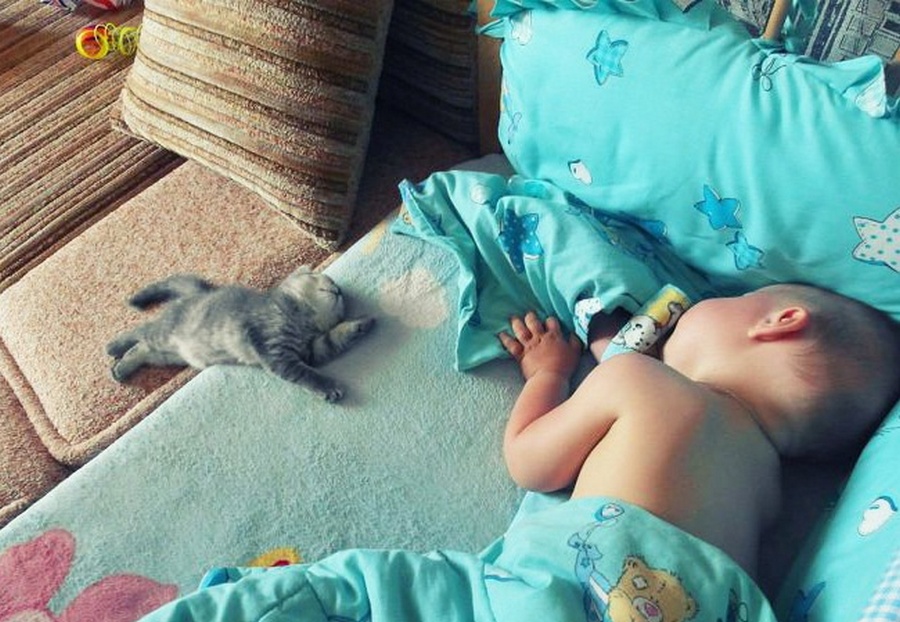 Фотографии, которые доказывают на сколько дети нуждаются в домашних питомцах! Фотографии, которые доказывают на сколько дети нуждаются в домашних питомцах!