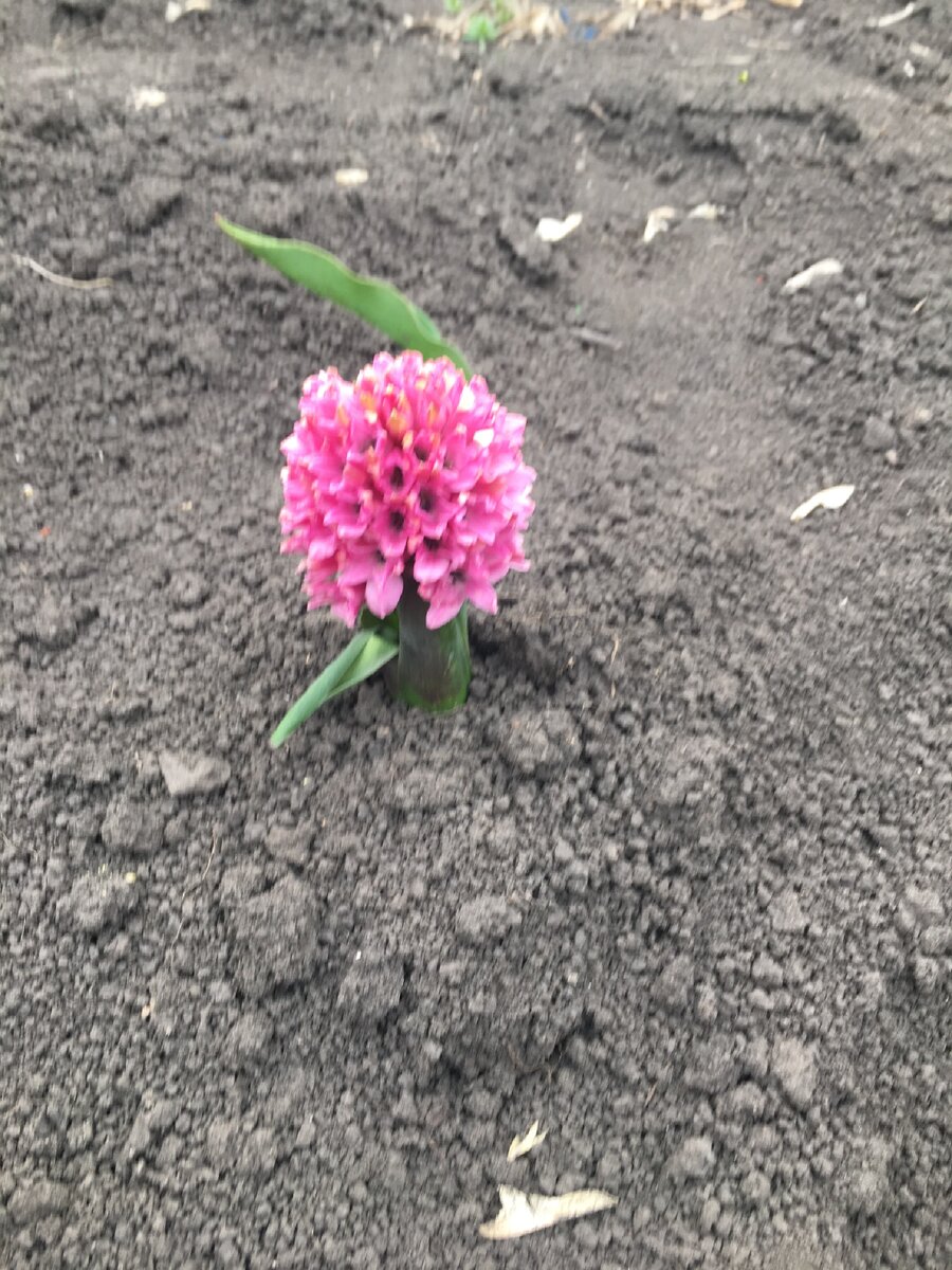 Я больной человек