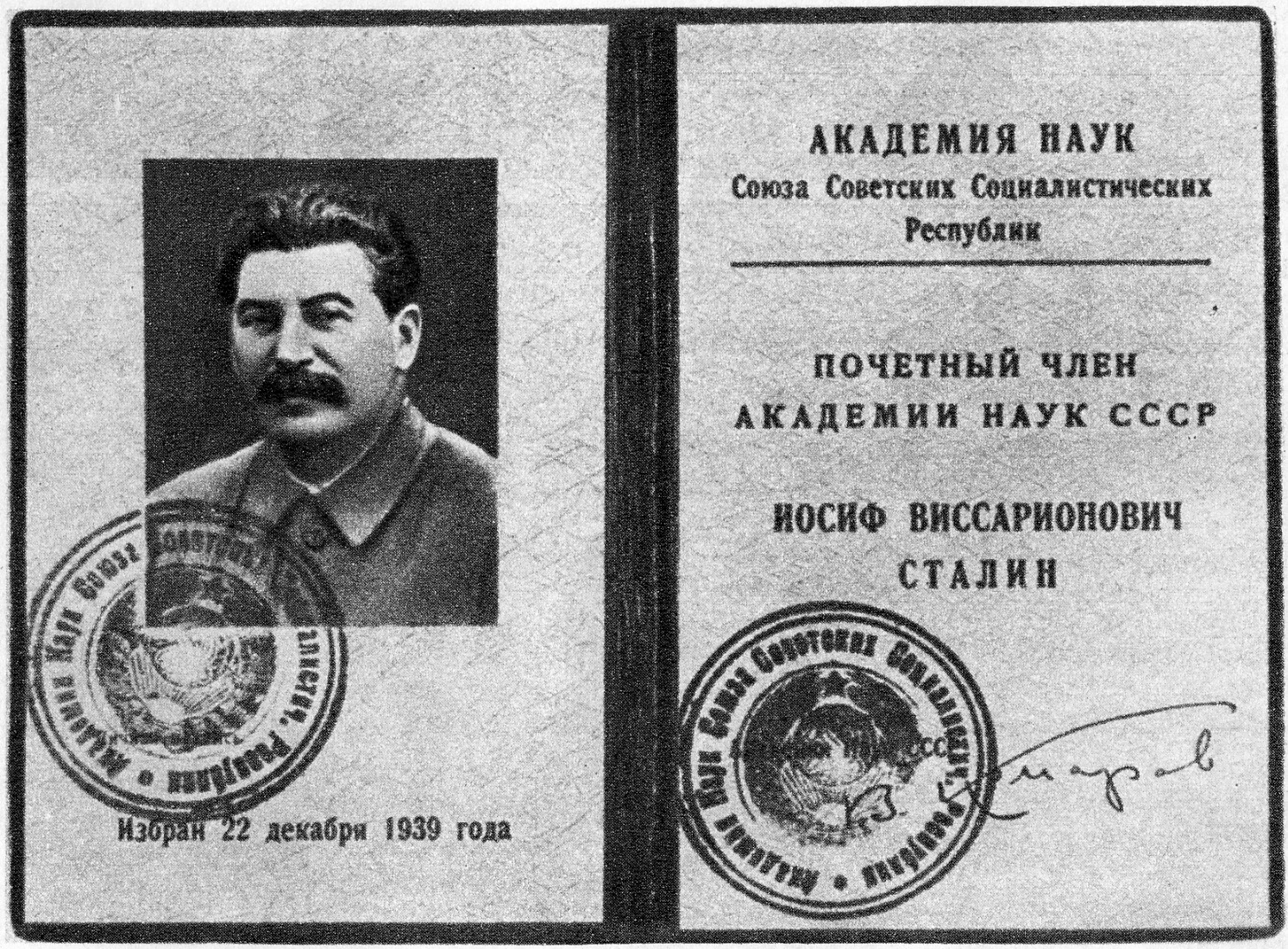 77уу7.jpg 77уу7.jpg
